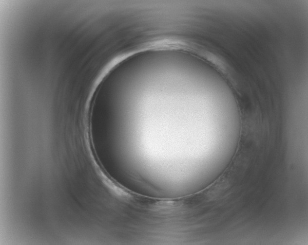 X0000065951478200603061111