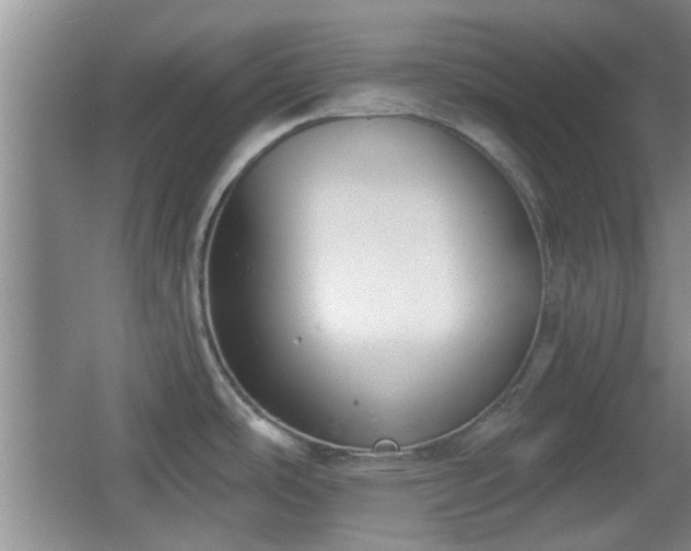 X0000065951486200603061111