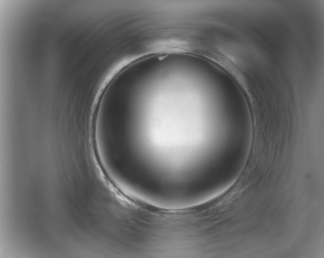 X0000065951488200603061111