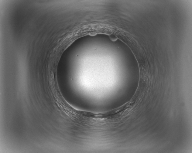 X0000065951489200603061110