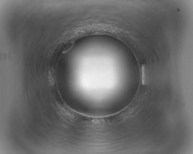 X0000065951491200603061110