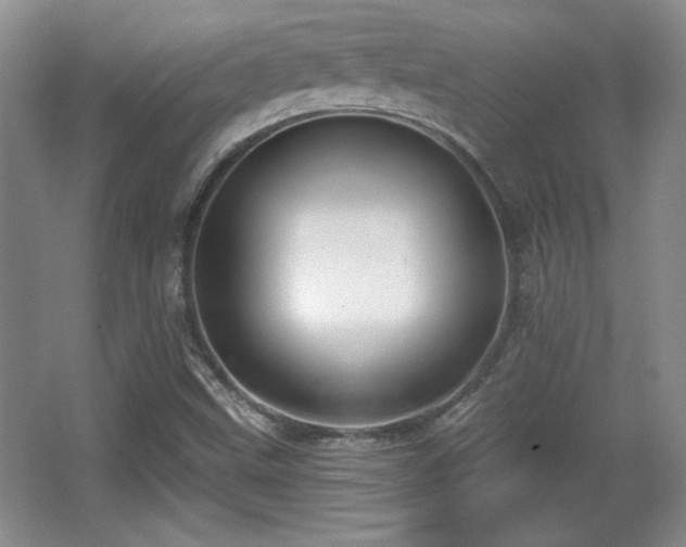 X0000065951499200603061111