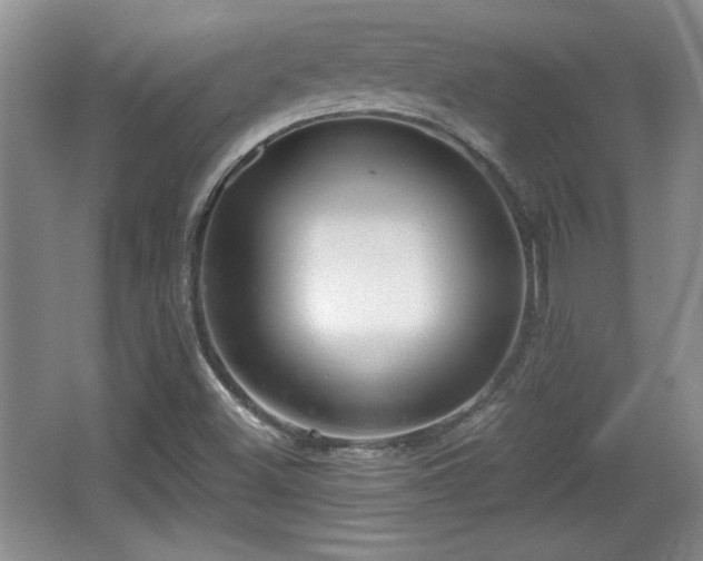 X0000065951500200603061111