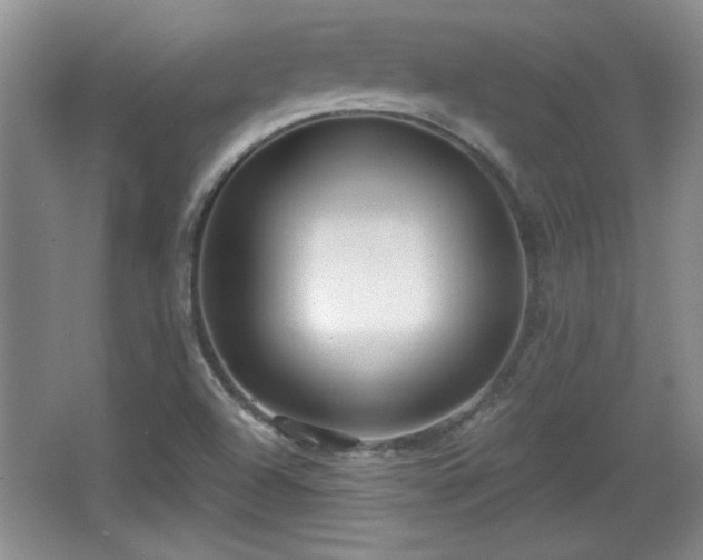 X0000065951504200603061111