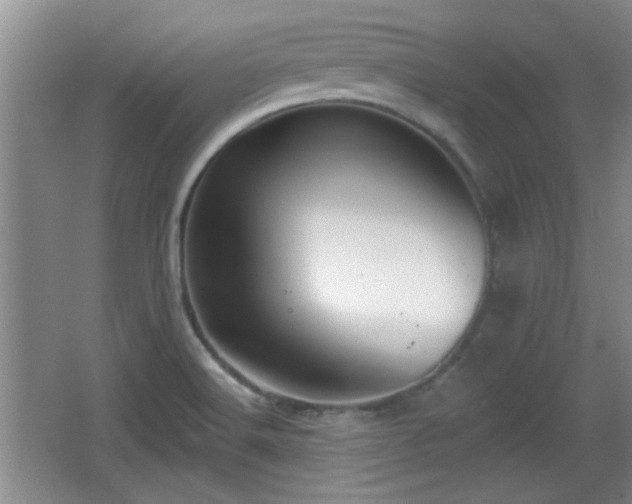 X0000065951516200603061111