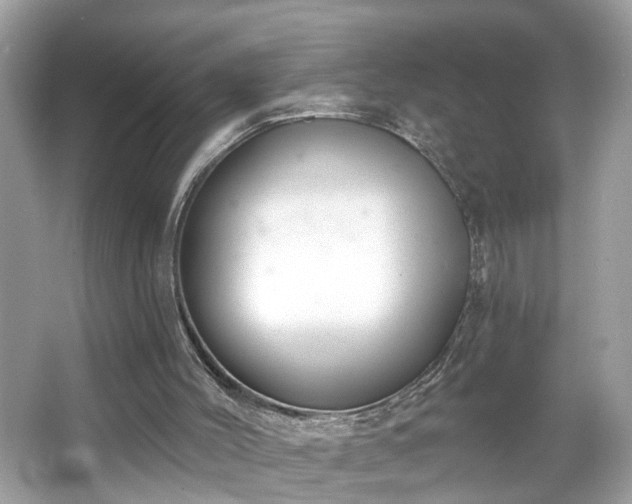 X0000065950004200603101408