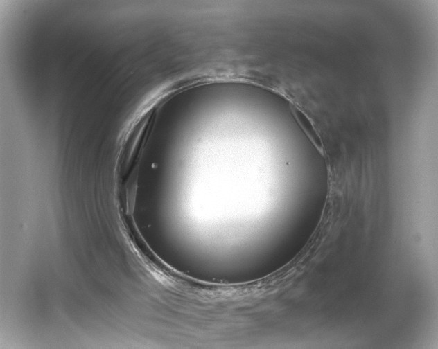 X0000065950005200603101408