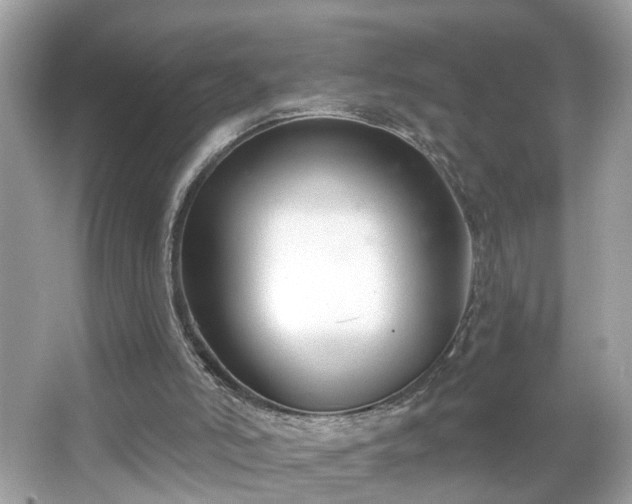 X0000065950006200603101408