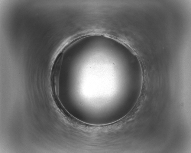 X0000065950007200603101408