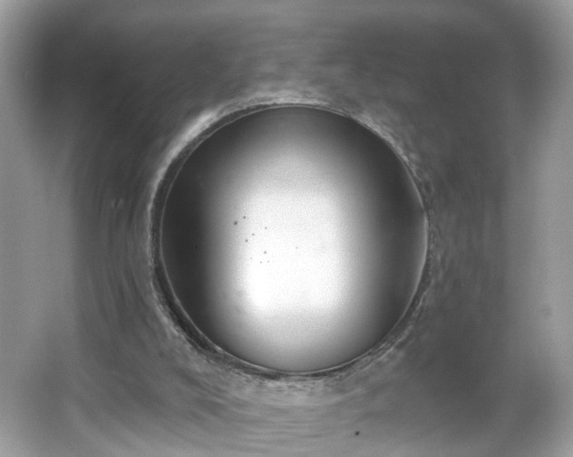 X0000065950008200603101408
