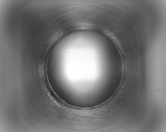 X0000065950010200603101408