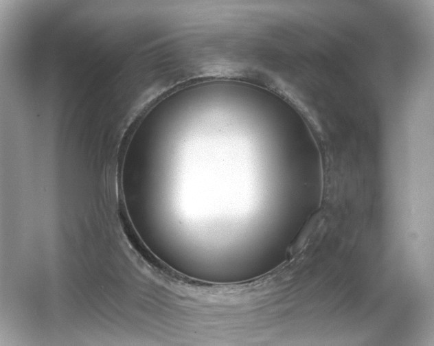 X0000065950011200603101408
