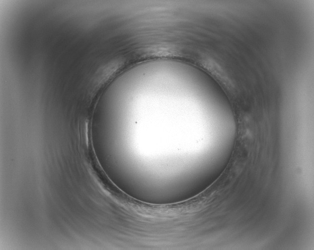 X0000065950014200603101408