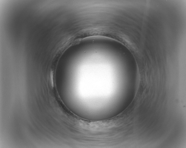 X0000065950022200603101408