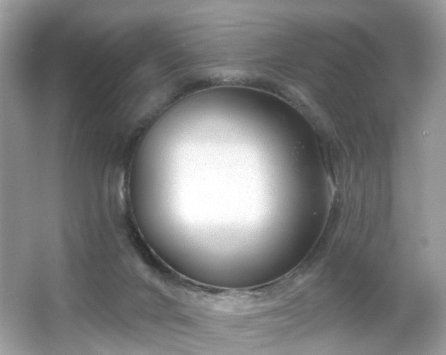X0000065950024200603101408