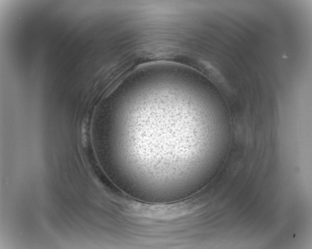 X0000065950026200603101408