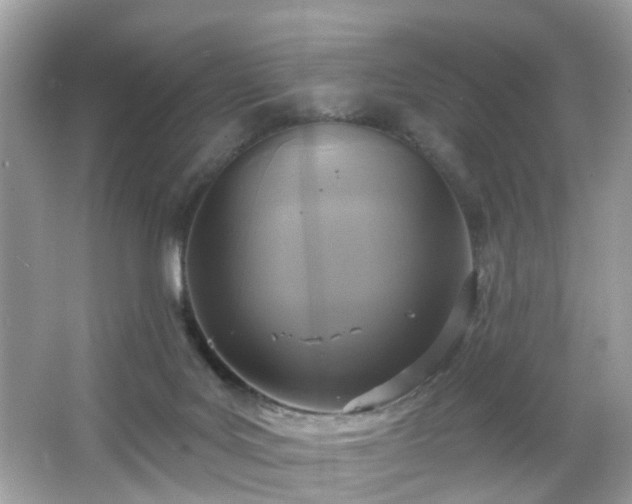 X0000065950027200603101408