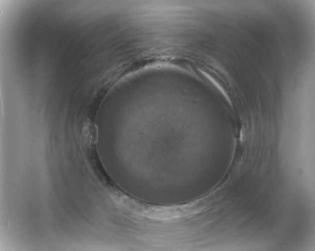 X0000065950029200603101408