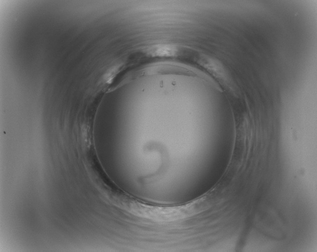 X0000065950031200603101408