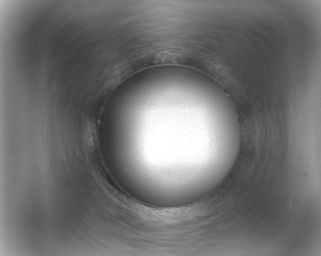 X0000065950038200603101407