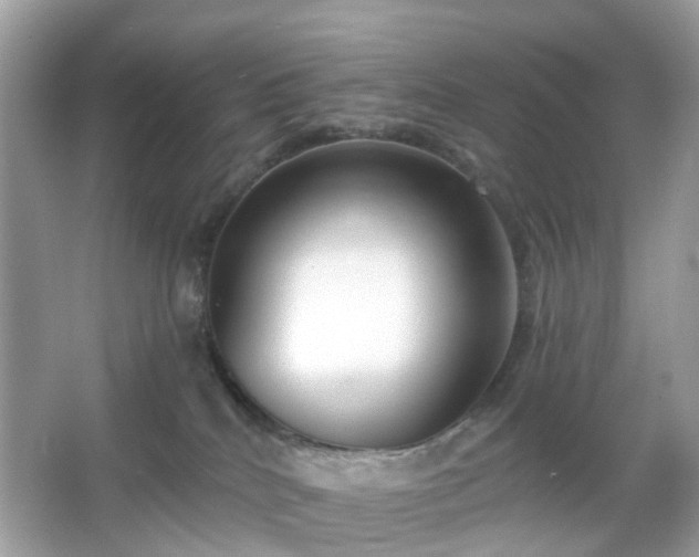 X0000065950040200603101407