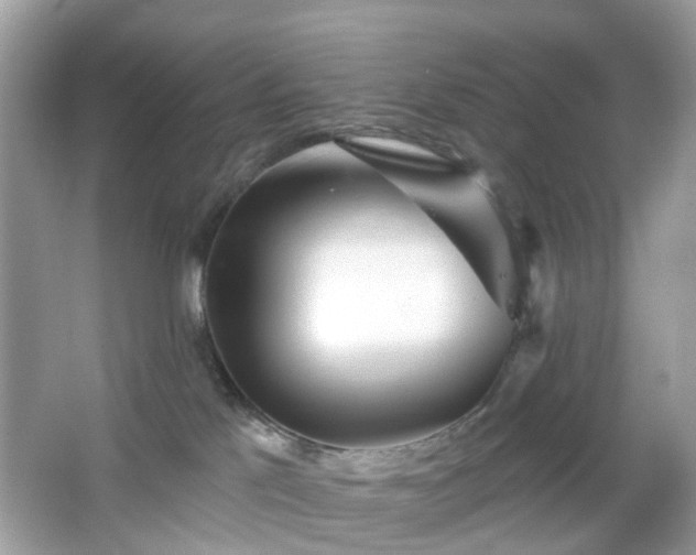 X0000065950041200603101407