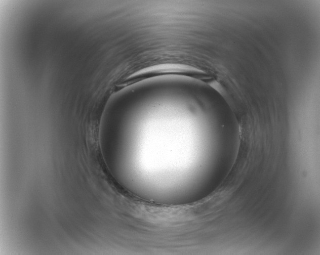 X0000065950044200603101407