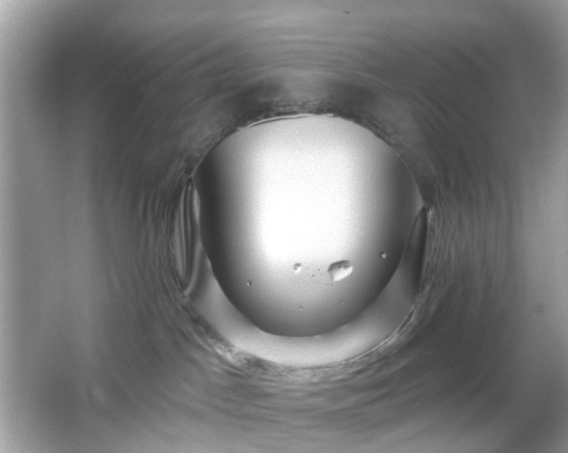 X0000065950045200603101407
