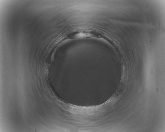 X0000065950048200603101407