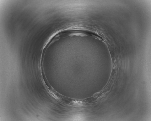 X0000065950052200603101407