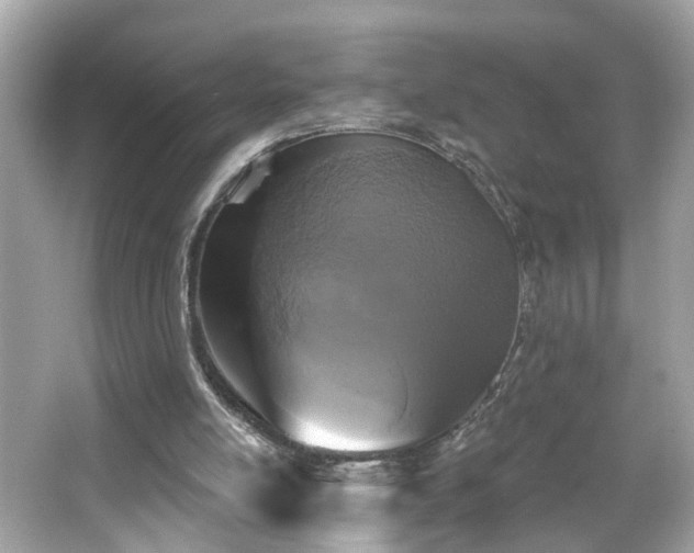 X0000065950054200603101407