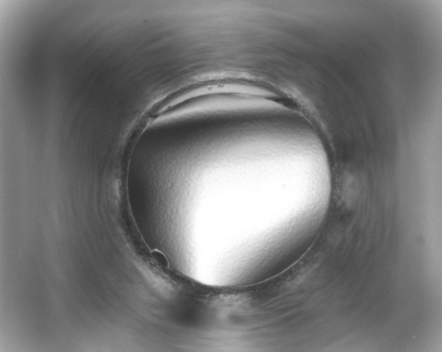 X0000065950063200603101407