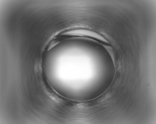 X0000065950064200603101407