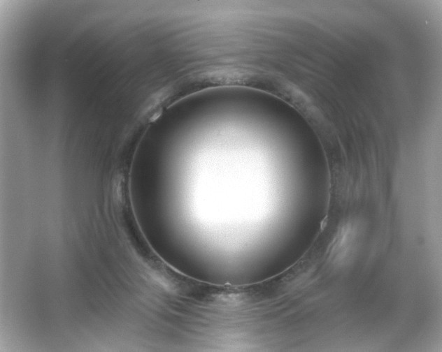 X0000065950071200603101407