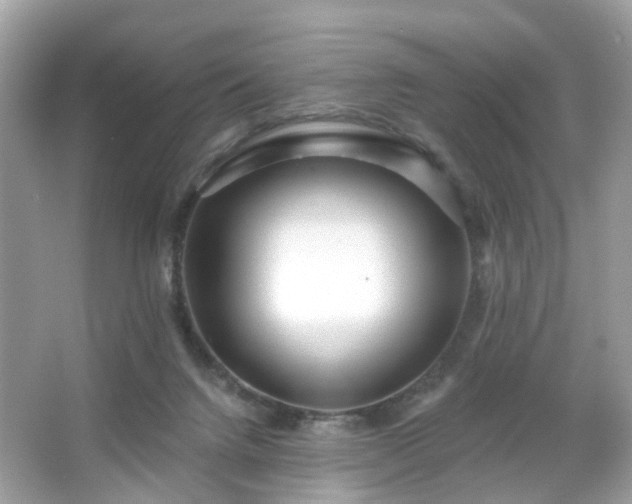 X0000065950072200603101407