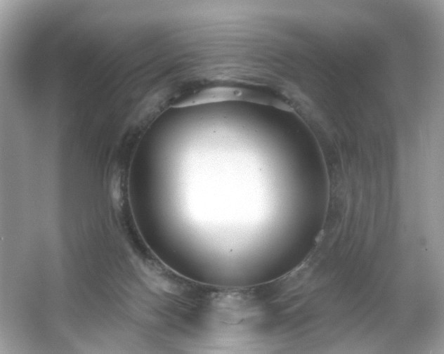 X0000065950074200603101407