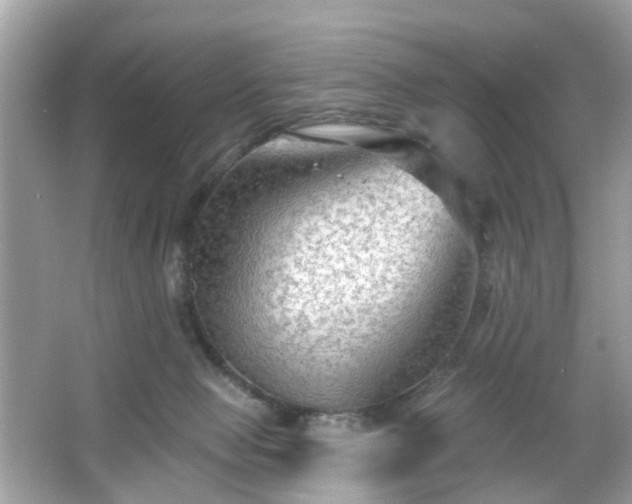 X0000065950077200603101407
