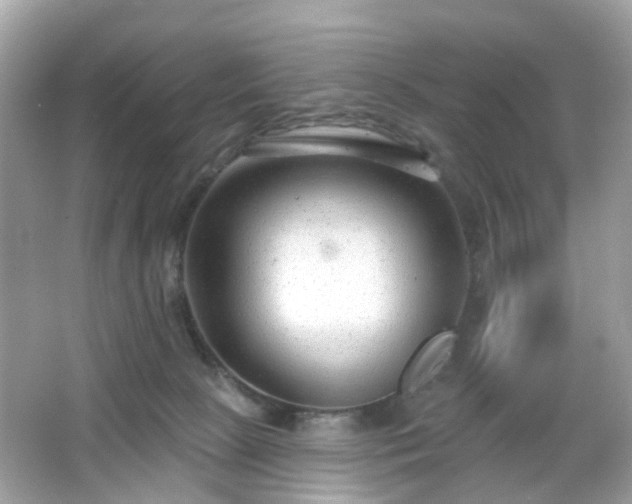 X0000065950081200603101407