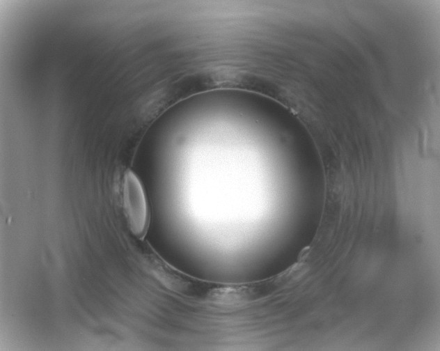 X0000065950082200603101407