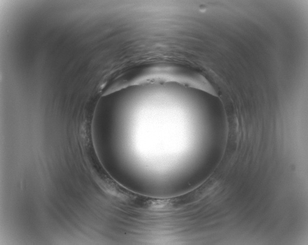 X0000065950088200603101407