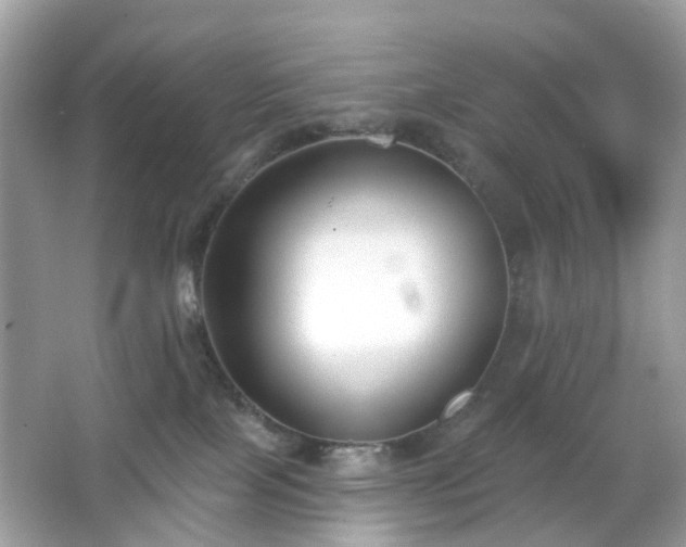 X0000065950089200603101407