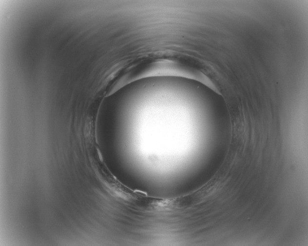 X0000065950092200603101407