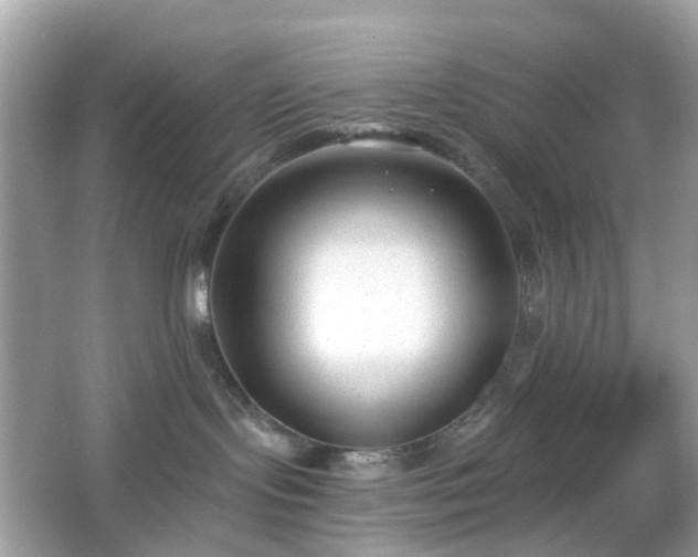 X0000065950095200603101407