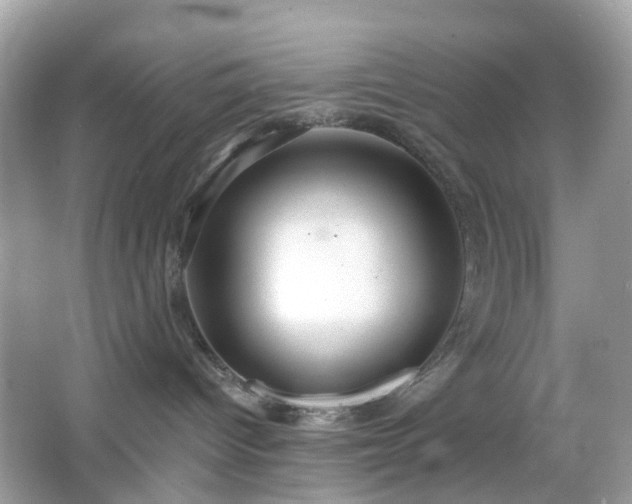 X0000065950096200603101407