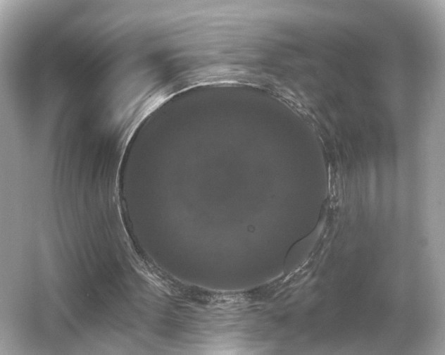 X0000065950099200603101406