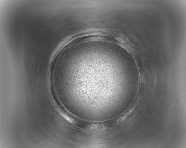 X0000065950101200603101406