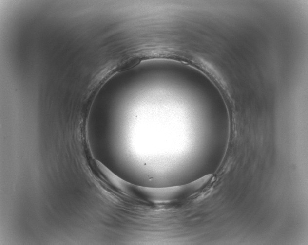 X0000065950105200603101406