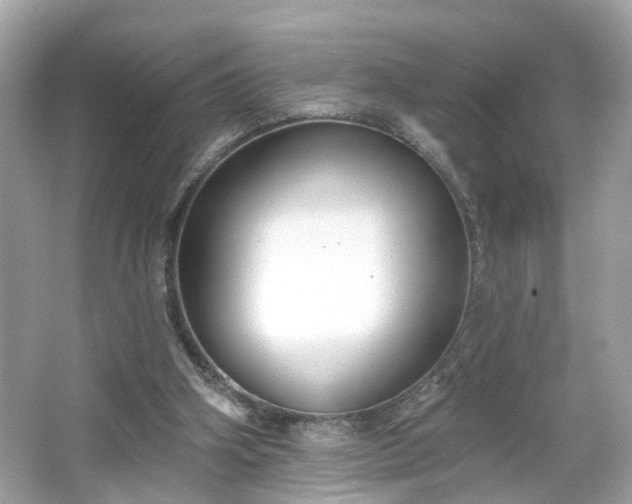 X0000065950106200603101406