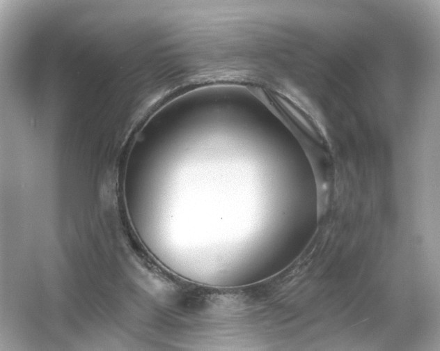 X0000065950107200603101406
