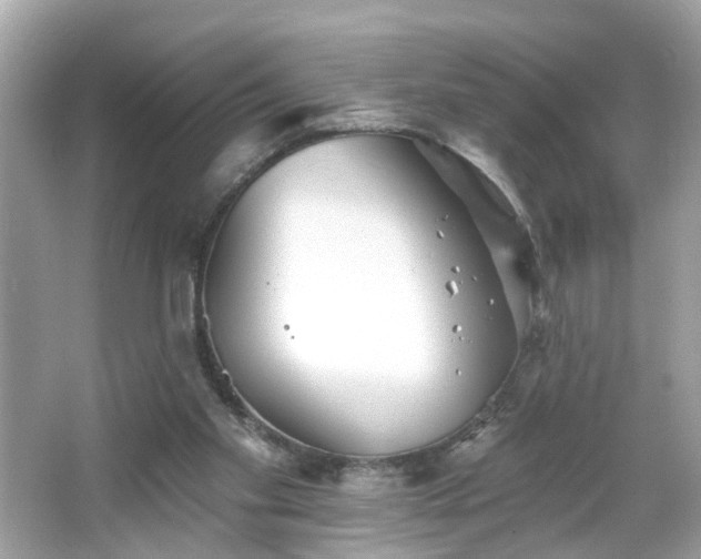 X0000065950109200603101406